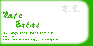 mate balai business card